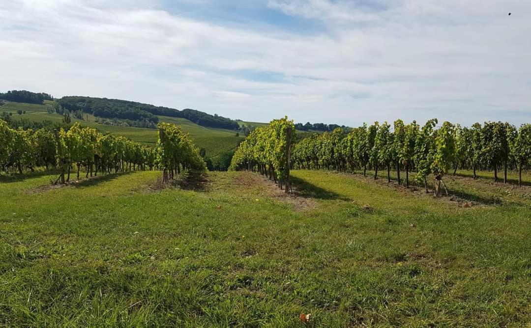 Domaine Et Manoir Du Picaud Villa Monestier  Kültér fotó