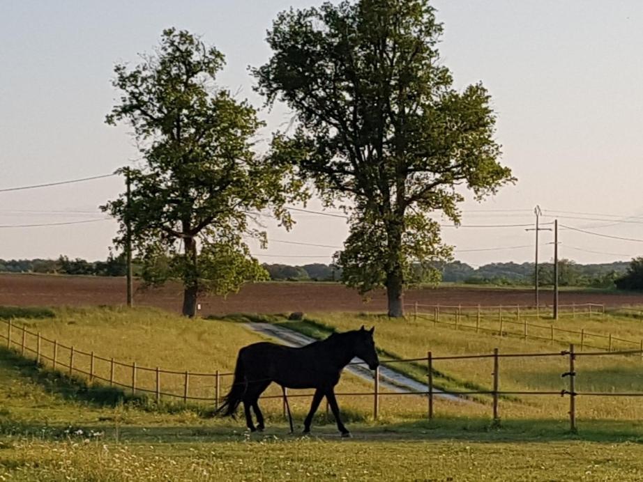 Domaine Et Manoir Du Picaud Villa Monestier  Kültér fotó